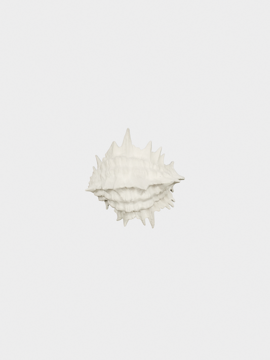 Yves Saint Laurent 2010s White Seashell Bracelet