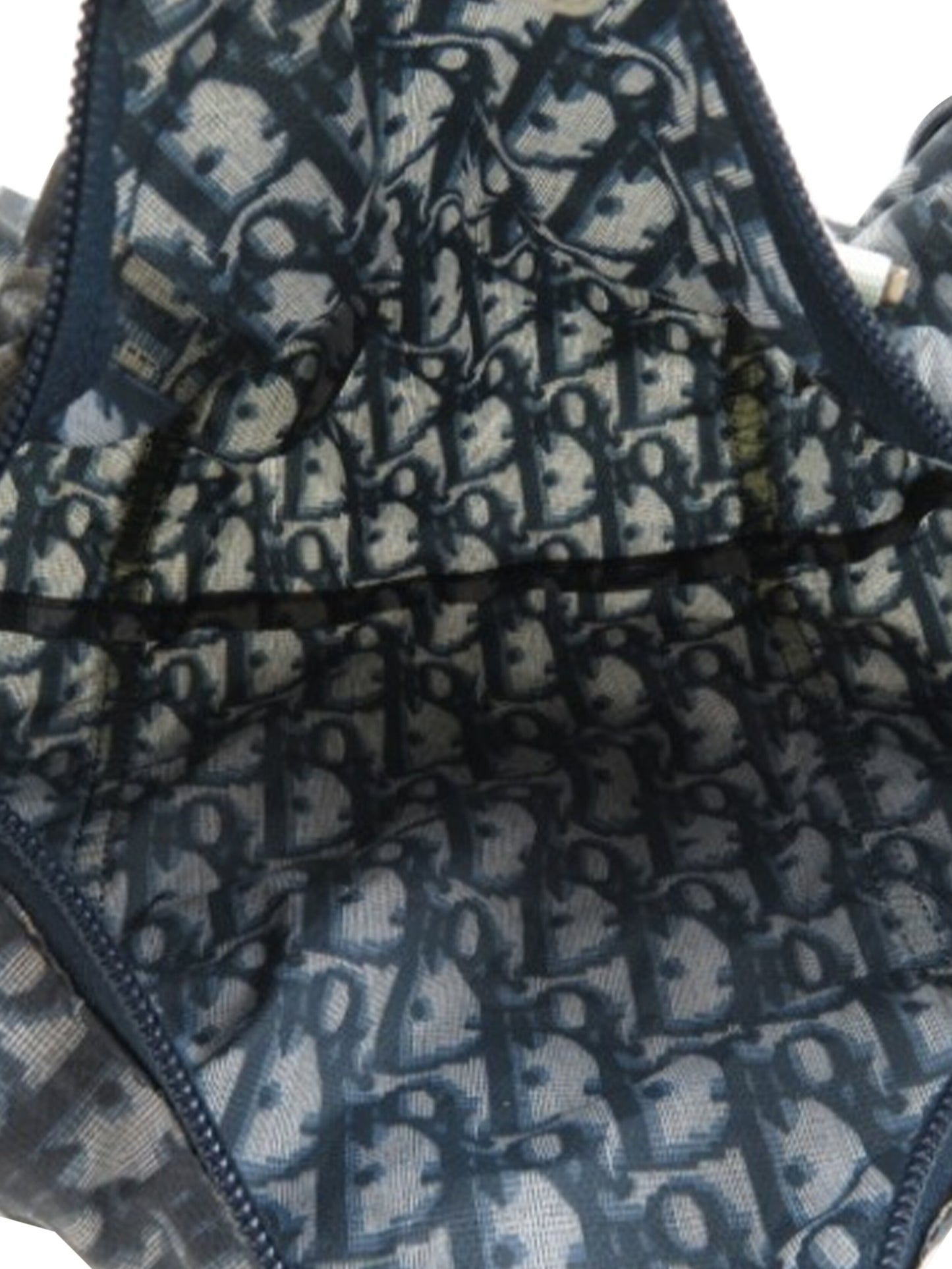 Christian Dior 2000s Blue Sheer Trotter Papillon