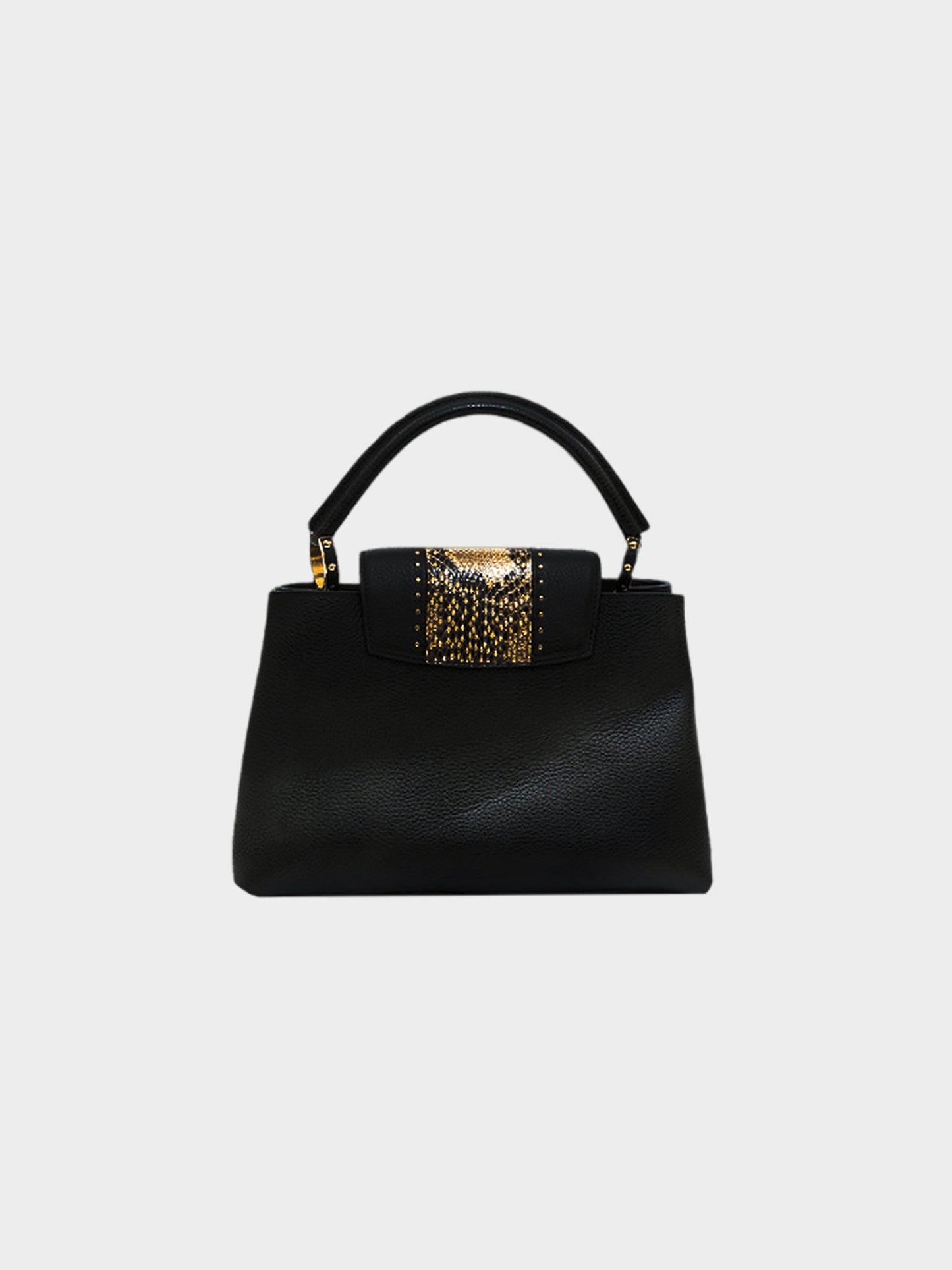 Louis Vuitton 2018 Exotic Leather Black