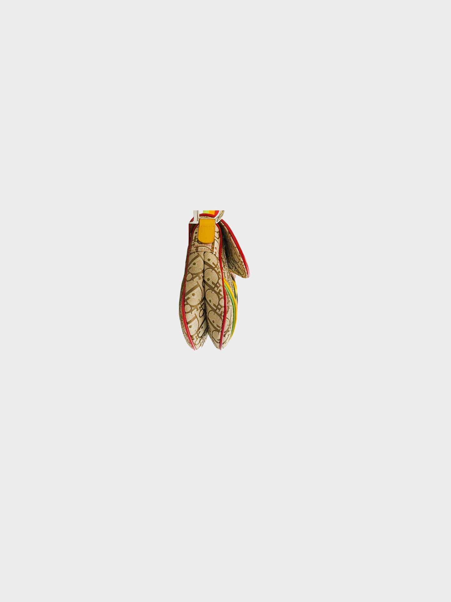 Christian Dior 2004 Rasta Tricolor Saddle Handbag