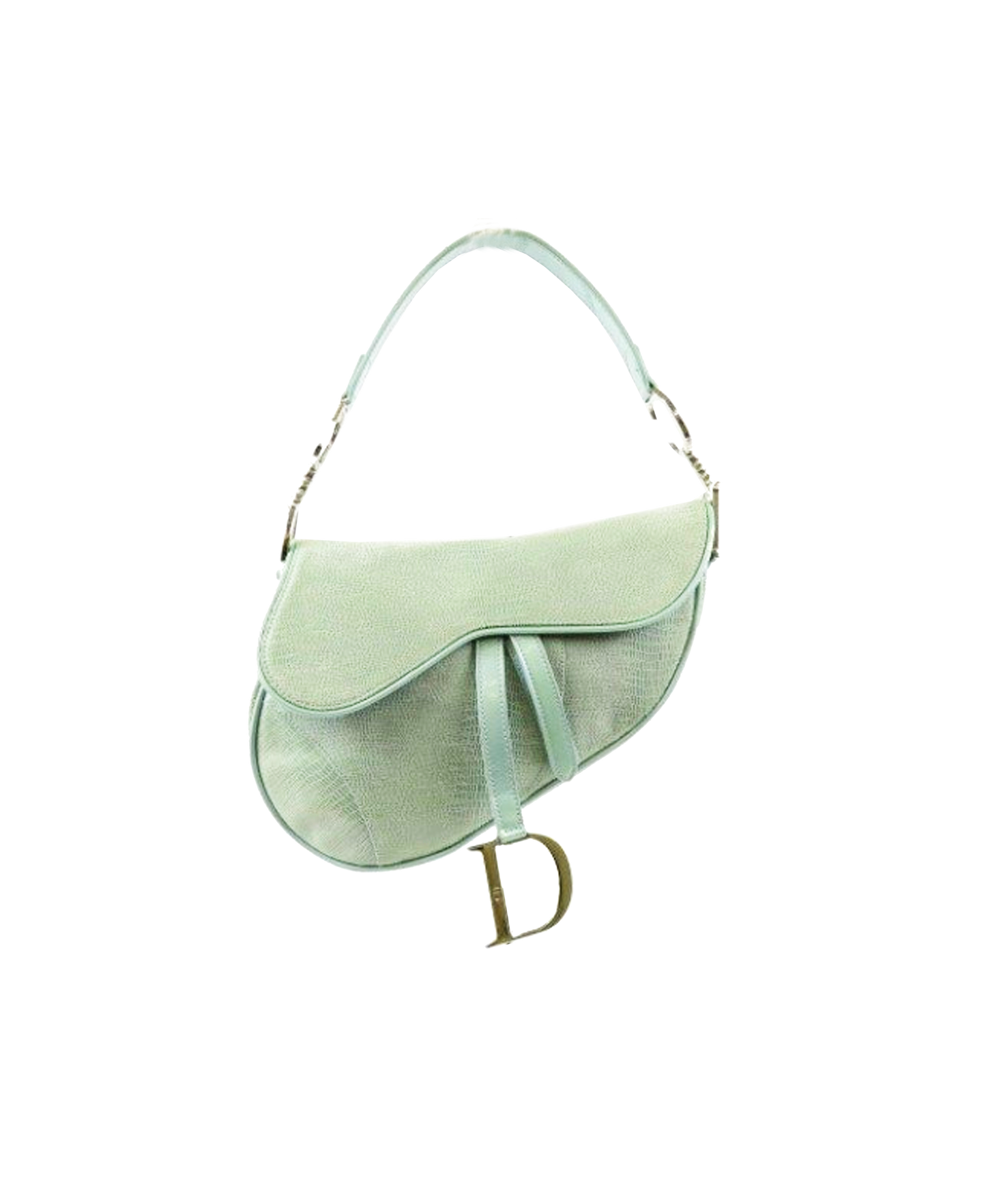 Christian Dior 2000s Light Green Lizard Saddle