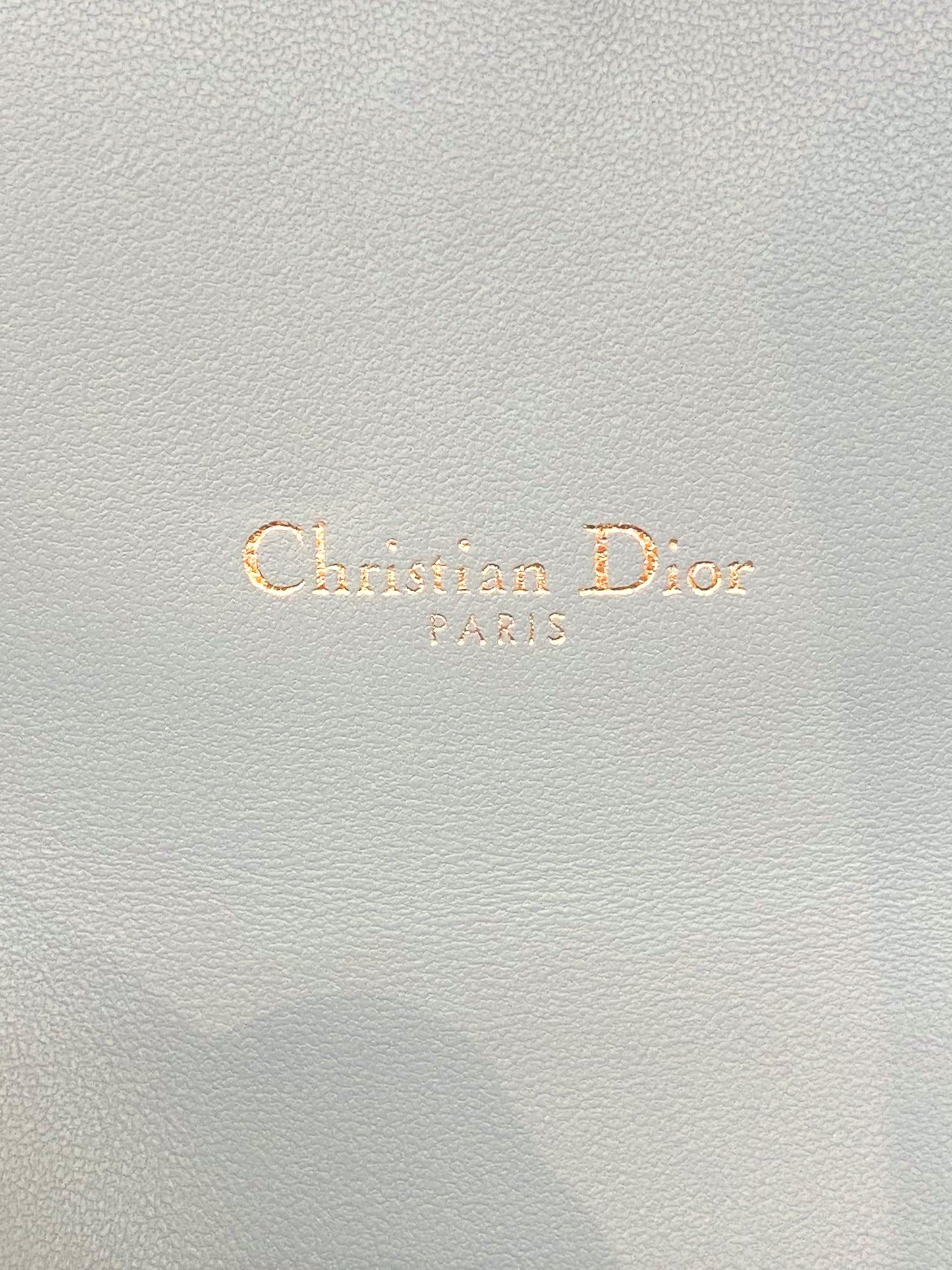 Christian Dior 2020s Saddle Wallet on a Chain