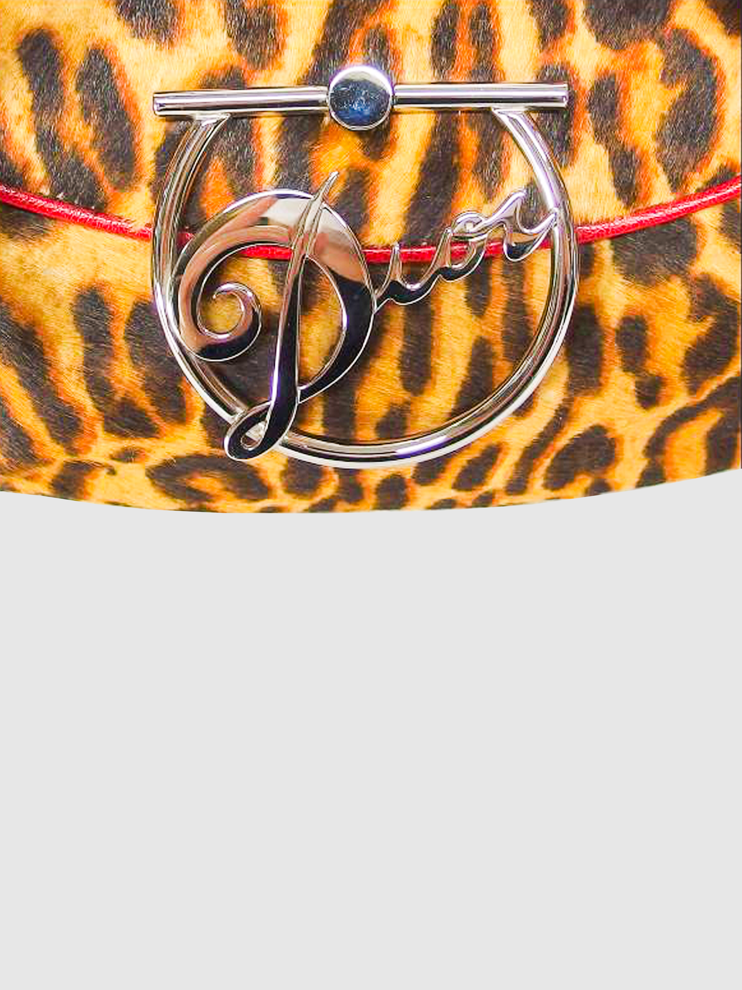 Christian Dior 2010 Leopard Print Large Logo Shoulder bag