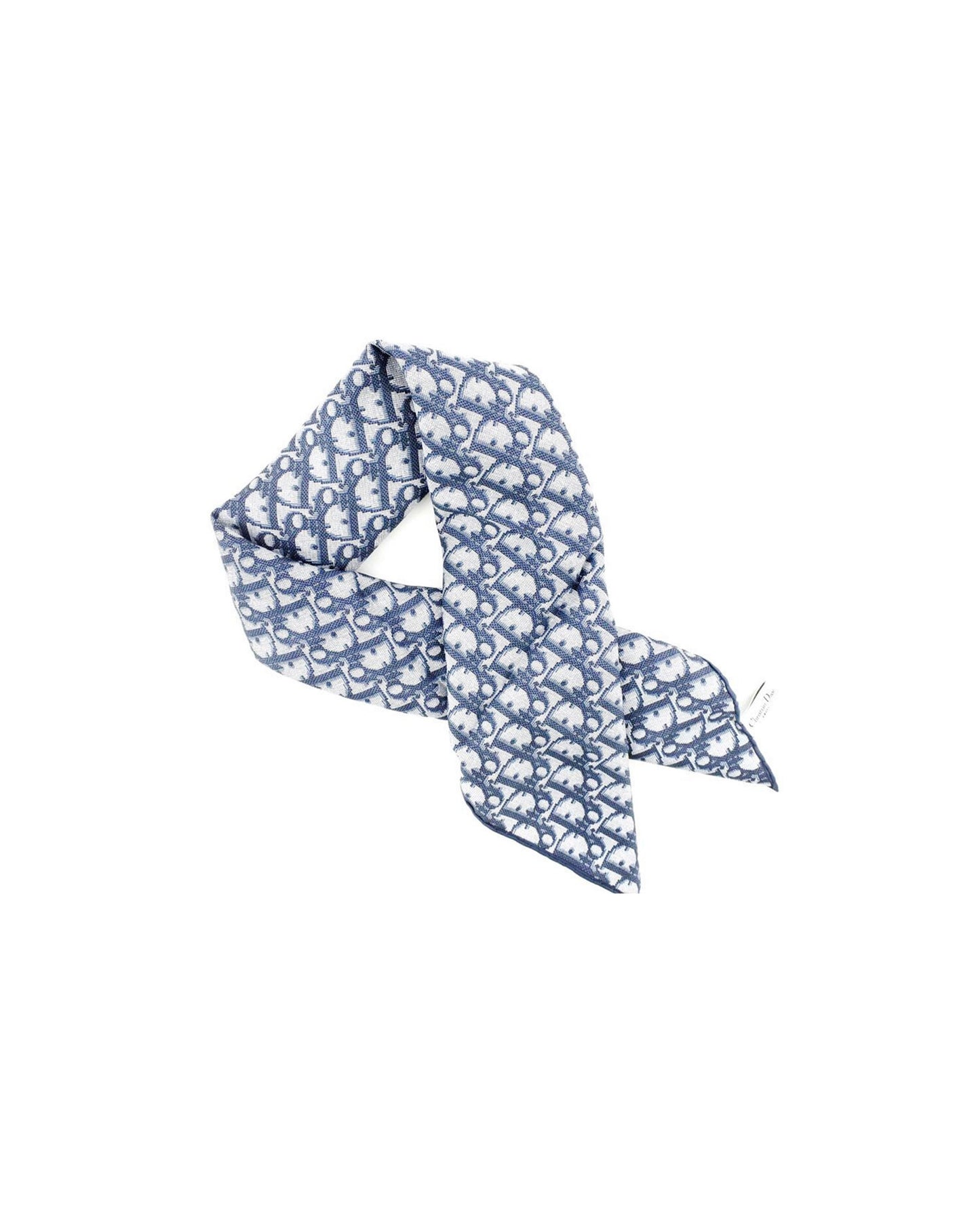 Christian Dior 2002 Blue Rare Trotter Scarf